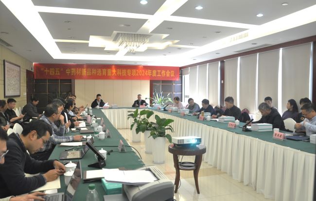 会议.JPG